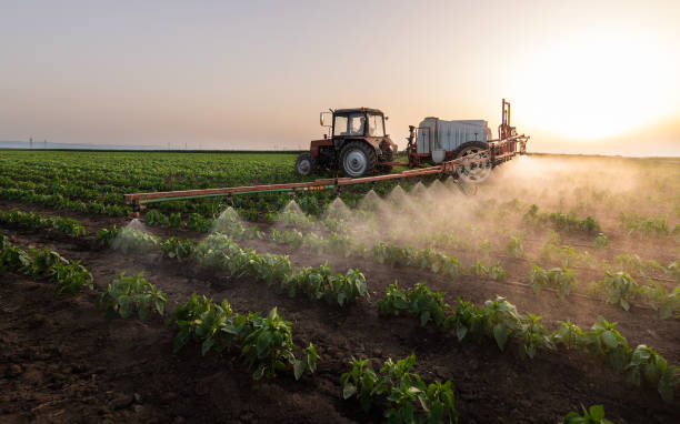 Best Mosquito Control Services  in Round Lake, IL