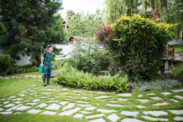 Best Emergency Pest Control  in Round Lake, IL
