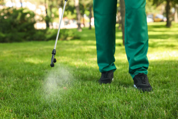 Best Termite Control Services  in Round Lake, IL
