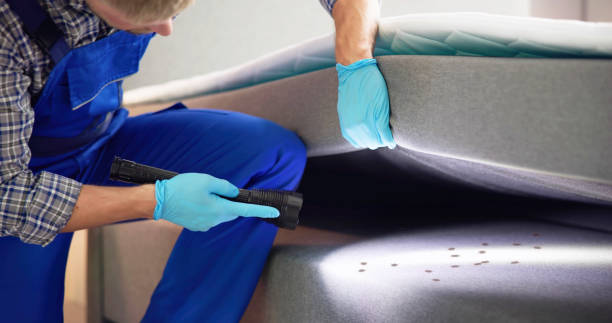 Best Pest Control Near Me  in Round Lake, IL