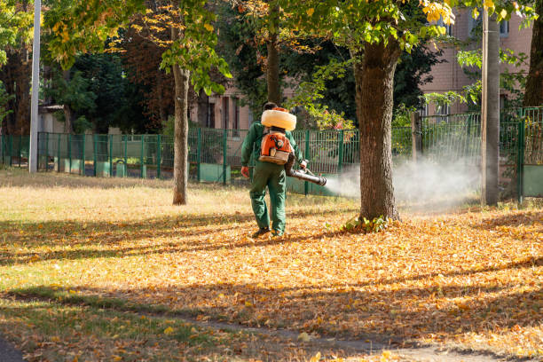Best Flea Control Services  in Round Lake, IL