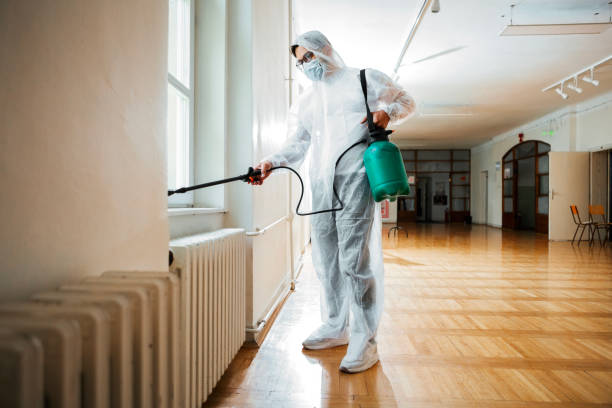 Best Rat Extermination Near Me  in Round Lake, IL